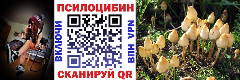 OMG tor  продажа наркотиков  Монино  Галлюциногенные грибы прущие грибы 